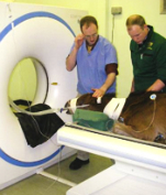 our new CT scanner will allow us to scan heads of horses that are sedated and still standing