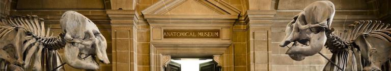 Anatomical Museum