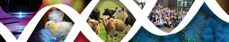 Improving Animal Production &amp; Welfare