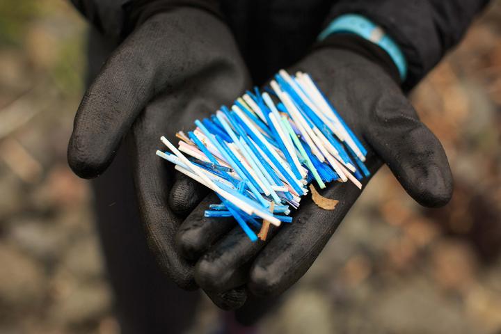A handful of cotton buds found on the beach