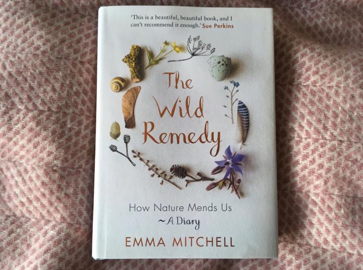 Photograph of a book cover. The Wild Remedy by Emma Mitchell