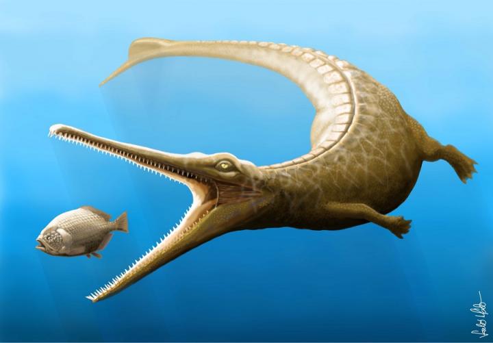 Artist's impression of Magyarosuchus fitosi