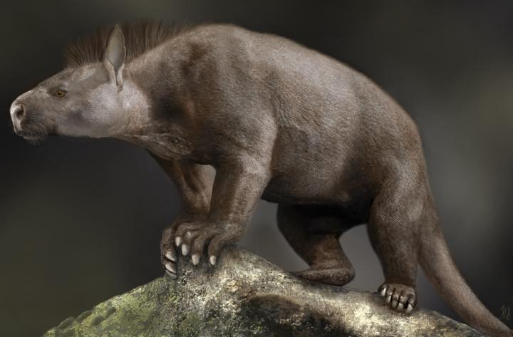 Artist's impression of a prehistoric mammal