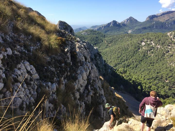 A view of mountains and forest in Majorca