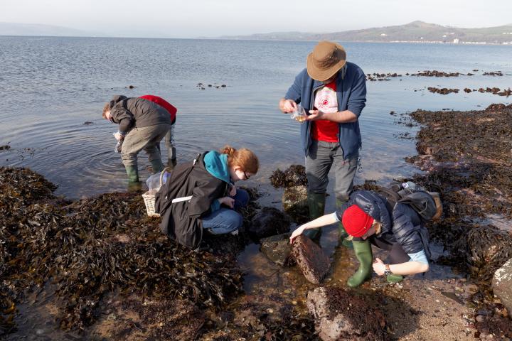 3 students and 2 staff on the sea shore collecting seaweed samples