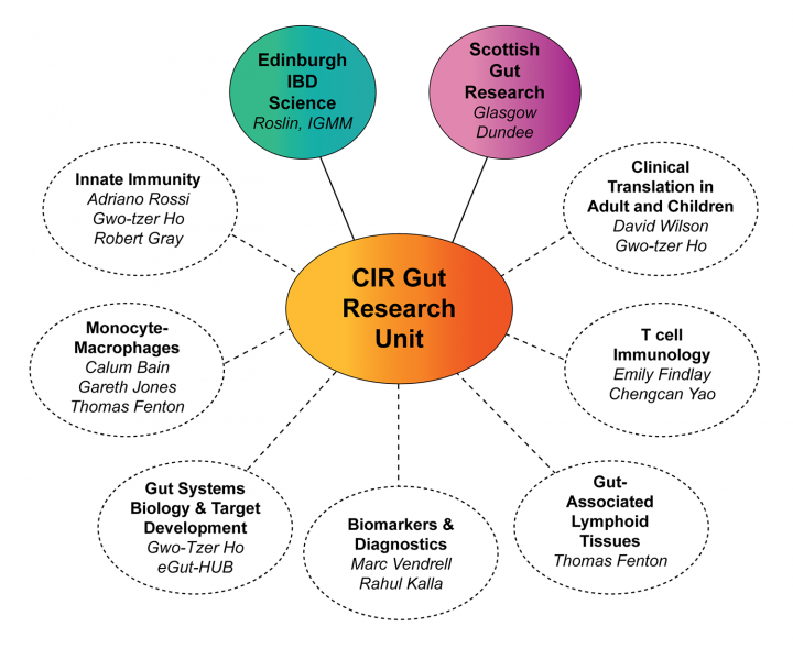 A list of researchers in GRU and their research themes. Equivalent text is provided under 'Our Key Research'