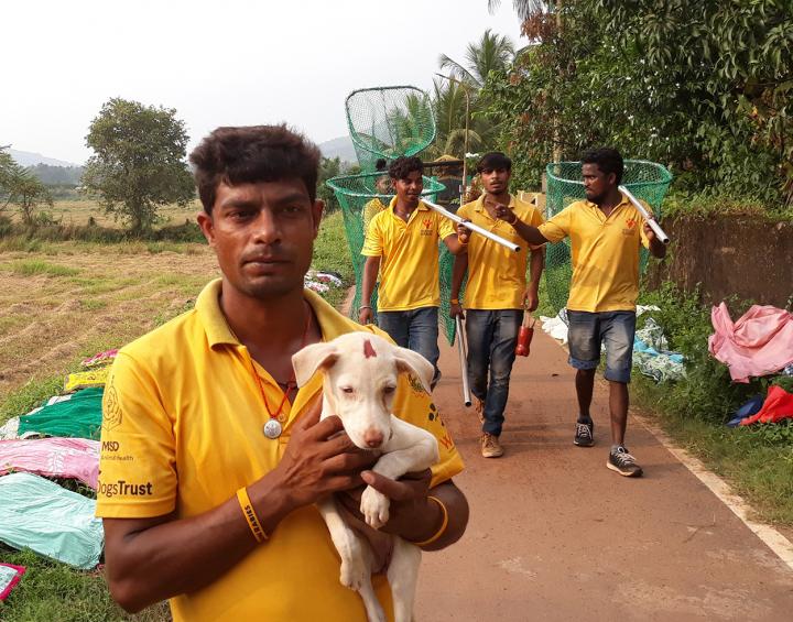 The team who collects street dogs.