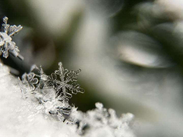 Close up photograph of snow flakes