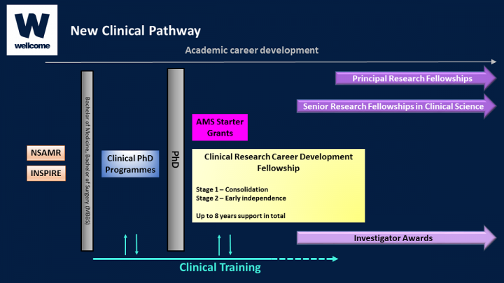 Diagram showing Wellcome Trust new clinical pathway