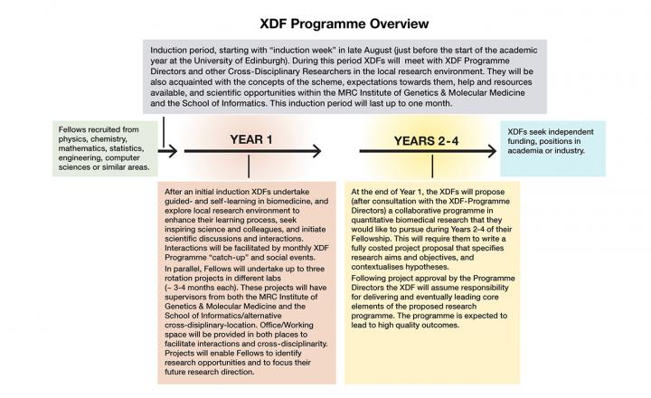 XDF Overview Schematic