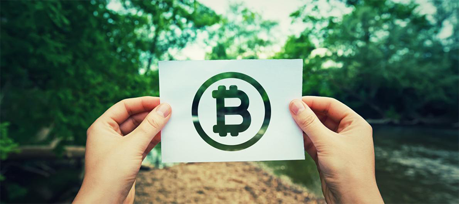 Bitcoin logo held up in woods