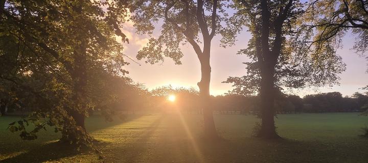Photograph of The Meadows in Edinburgh. The sun is rising between the trees , in the distance is a line of trees.