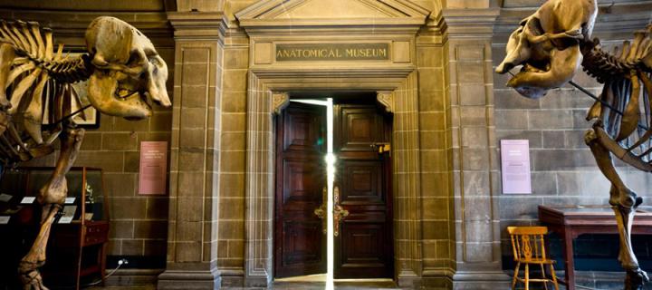 anatomical museum doors with elephant skeletons