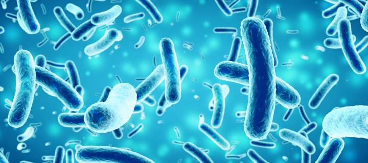 Gut bacteria could guard against Parkinson’s | The University of Edinburgh