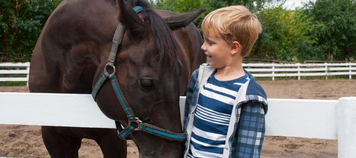 Photograph of a boy with a horse leaning into him
