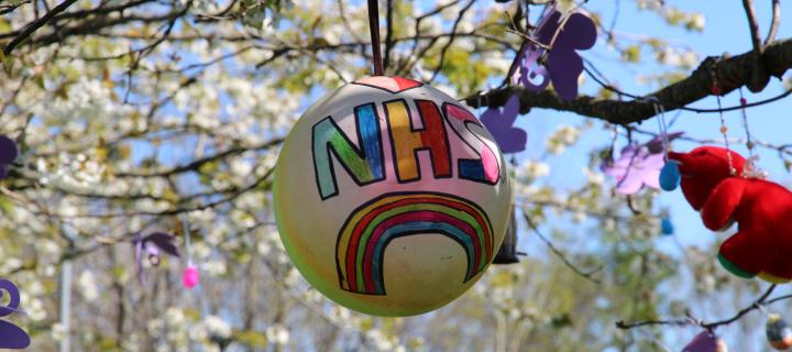 NHS tributes in a tree in Edinburgh
