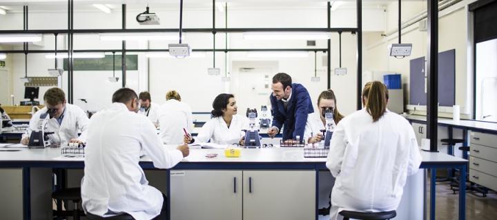 Biomedical Undergraduate students in the East West Laboratory