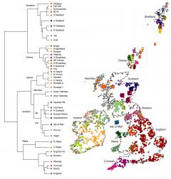 Genetic map of the United Kingdom