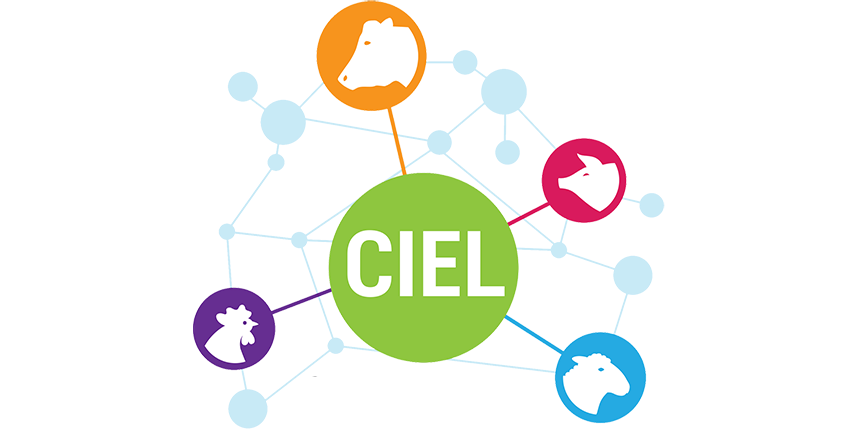 CIEL (Centre for Innovation Excellence in Livestock)