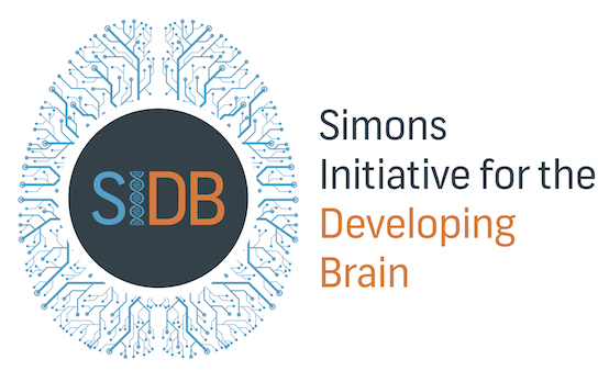 Simons Initiative for the Developing Brain logo