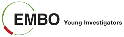 EMBO Young Invetigators logo
