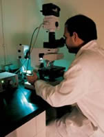 Student using a microscope