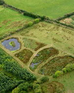 Constructed farm wetland