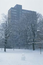 George Square in the snow