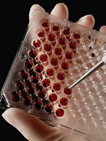 hands putting fluid into a pipette tray