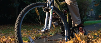 M 090424 Cycle training on offer to staff Cycling on a leafy path
