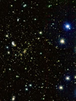 A cluster of galaxies observed using the Hubble Space Telescope. Euclid will observe tens of thousands of such clusters over the entire sky.