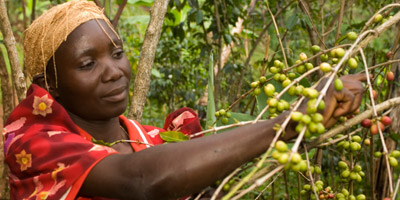 M 140221 Ten years for Fairtrade fairtrade worker