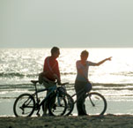 people riding bikes on the beach