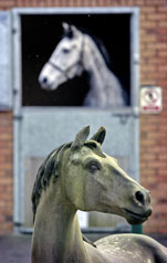 A grey horse in the background looks left; a horse statue in the foreground looks right