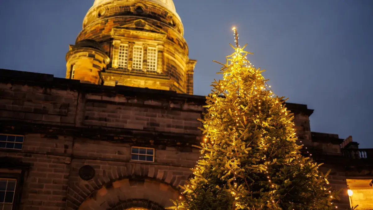 The Christmas Tree in Old College Quadrangle