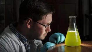 Lab Scientist Analyzing a Yellow Substance