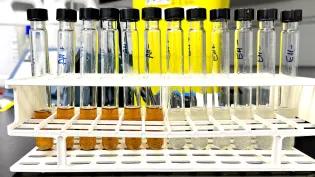 Microbial hydrogenation reactions using chemically (left) and enzymatically (right) degraded bread waste. Credit: Dr Mirren White, School of Biological Sciences, University of Edinburgh.