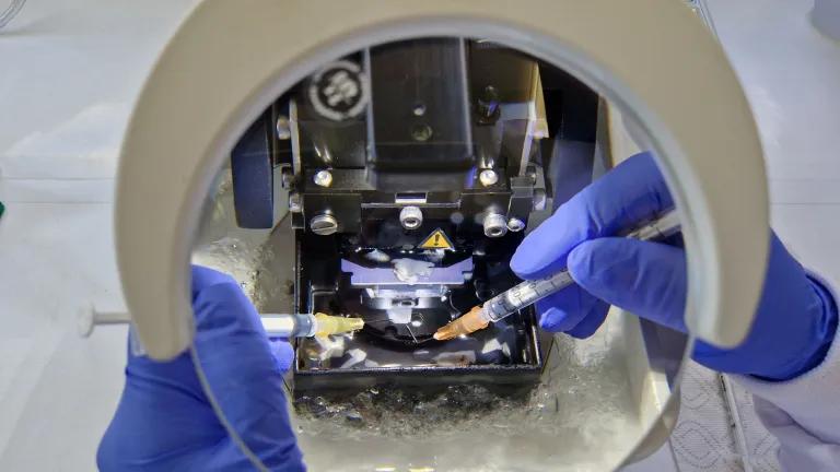 Looking at human brain tissue through a magnifying glass in a laboratory