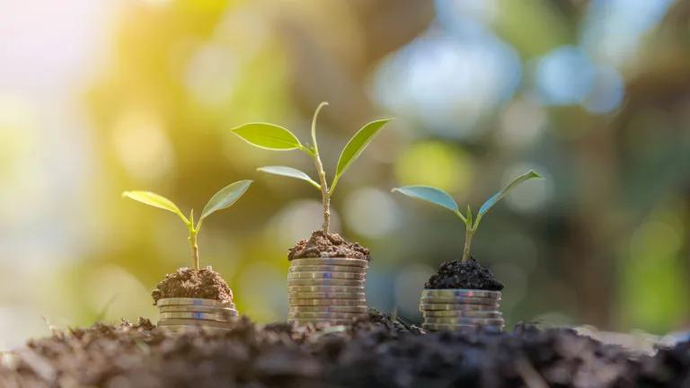 Money coins stacked under planted saplings