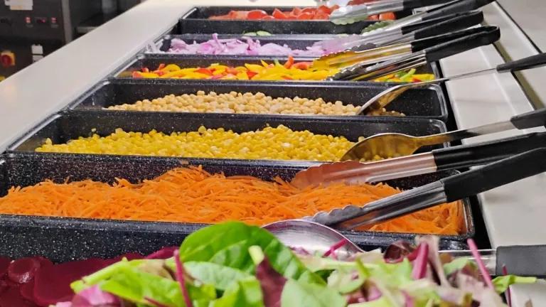 A salad and vegetarian buffet reflective of healthy menus for students. 