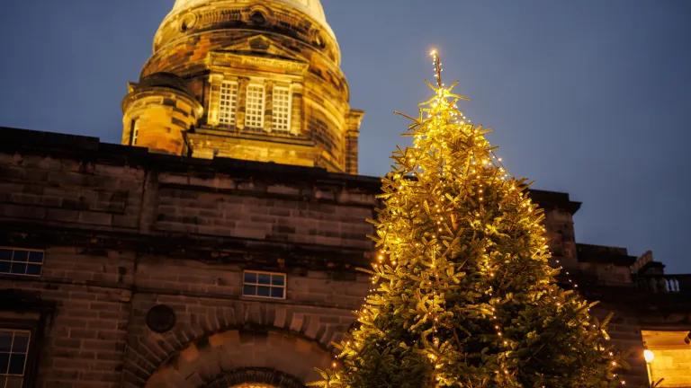 The Christmas Tree in Old College Quadrangle