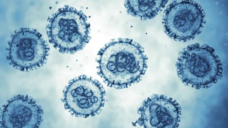 3D image of hantavirus under microscope