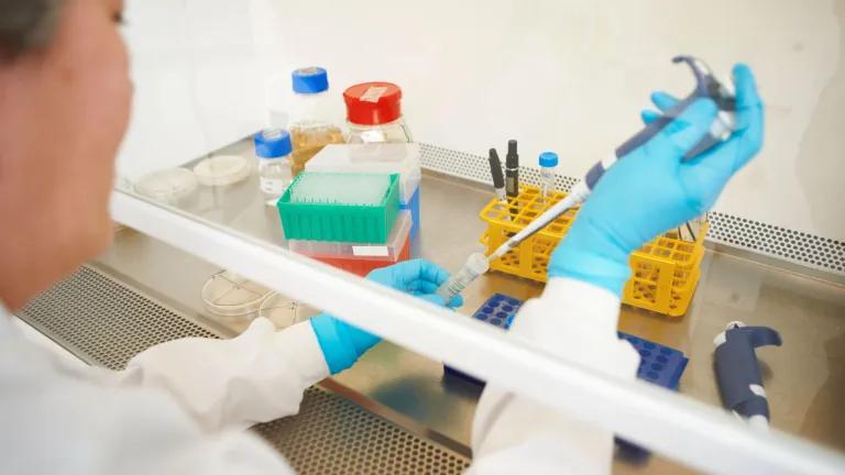 Female scientist pipetting liquid in the lab