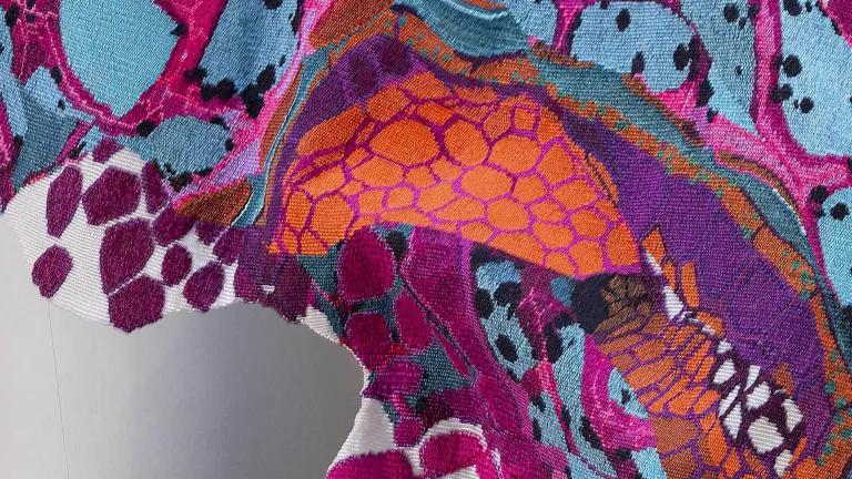Detail of Edinburgh Seven Tapestry