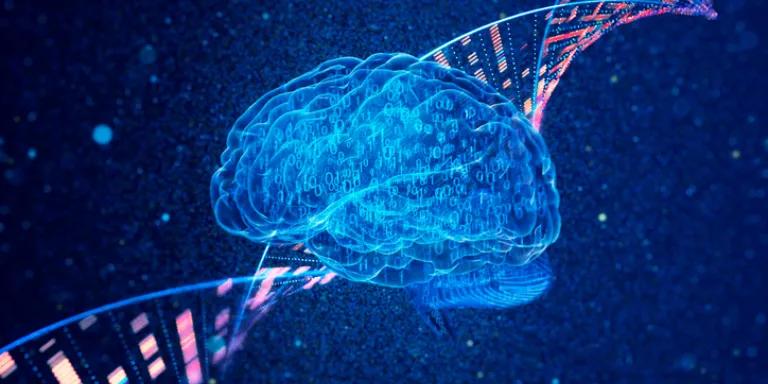 Image of brain and dna