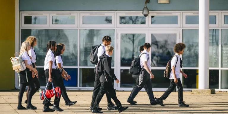 Group of school pupils in school uniform