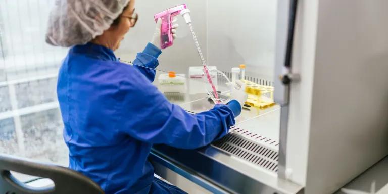 A female scientist in protective gear works with a pipette inside a biosafety cabinet, conducting cell culture experiments in a laboratory setting