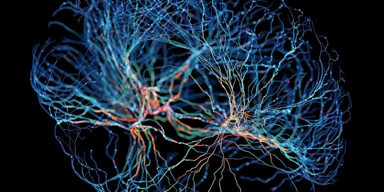 System of neurons with glowing connections on black background