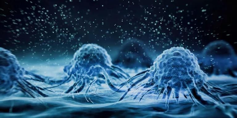 Microscopic images of cancer cells