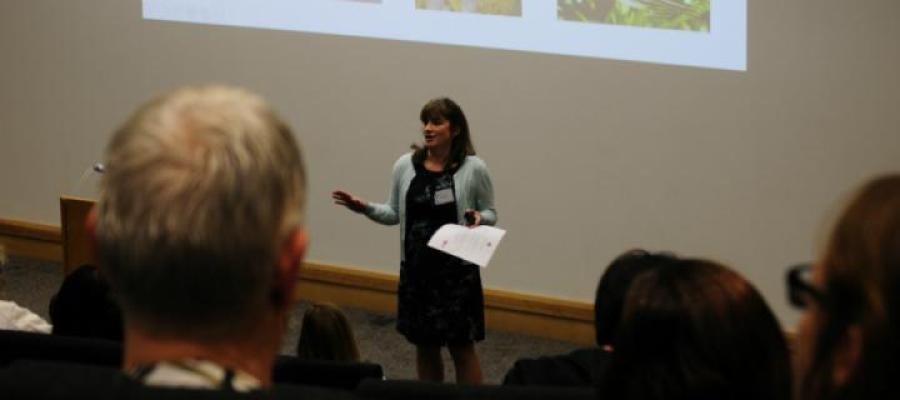  Opportunities to engage